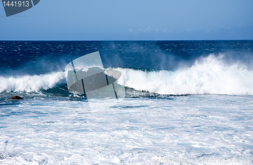 Image of Crashing Waves off the coast of Hawaii