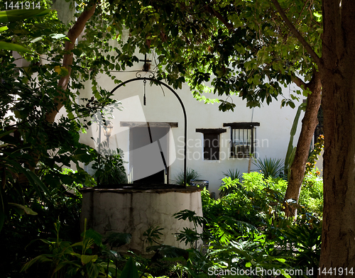 Image of Shady garden in old Mexican house