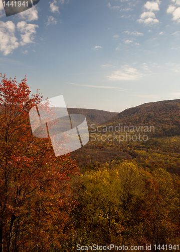 Image of Autumn valley