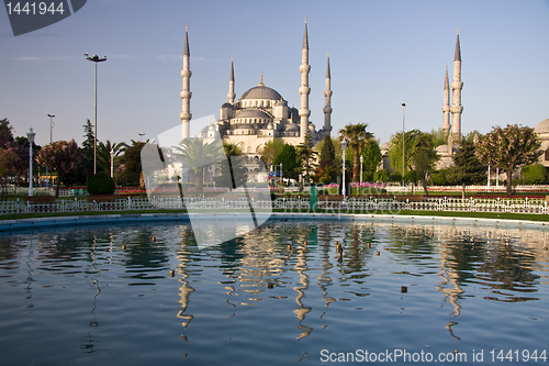 Image of Blue Mosque Reflection