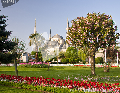 Image of Blue mosque in Istanbul