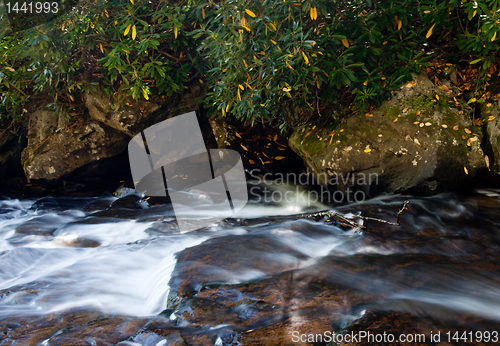 Image of Autumn leaves in river