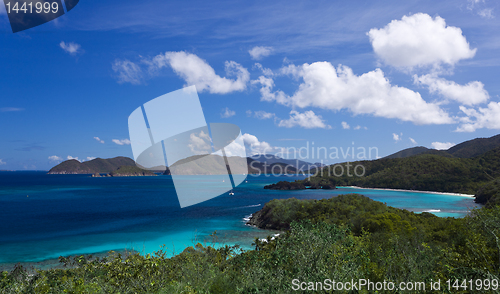 Image of Trunk Bay on St John