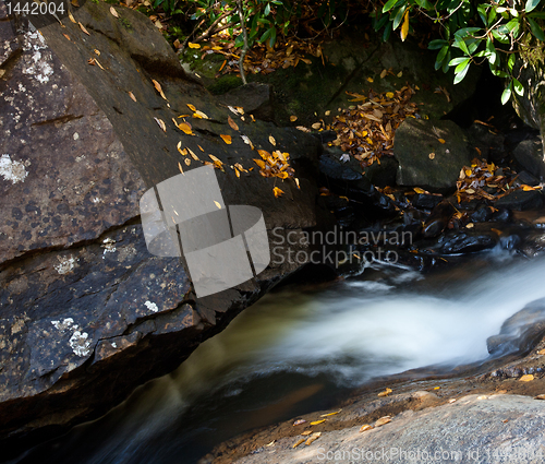 Image of Autumn leaves in river