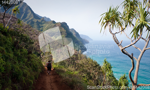 Image of Three female hikers on Kalalau trail