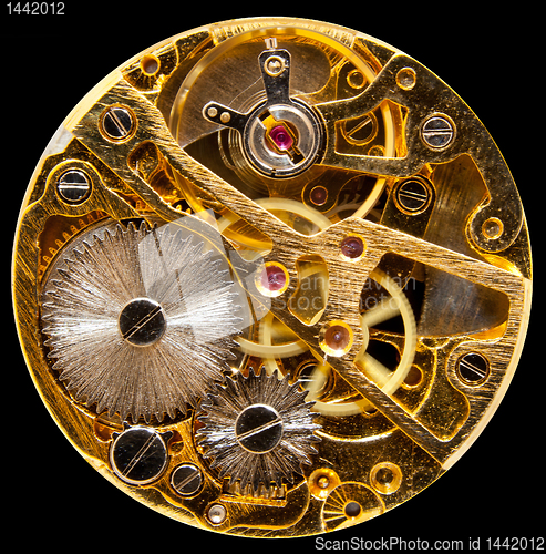 Image of Interior of antique hand wown watch