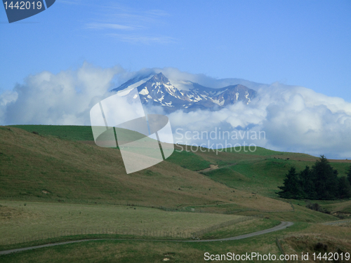 Image of Mount Cook over a grassy plain