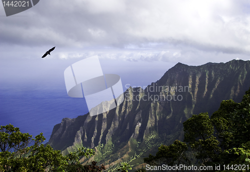 Image of Na Pali Coast