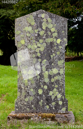 Image of Old grave marker with lichen and moss