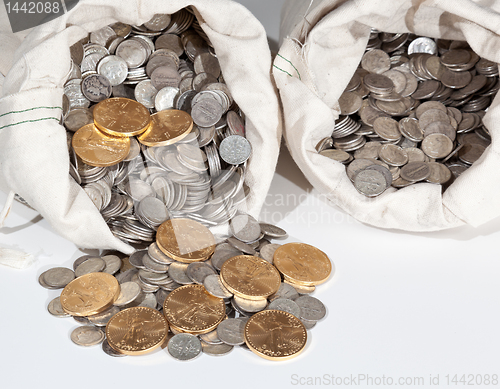 Image of Bag of silver and gold coins