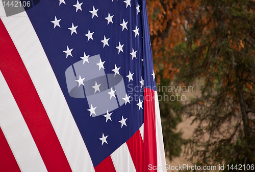 Image of US Flag in the fall