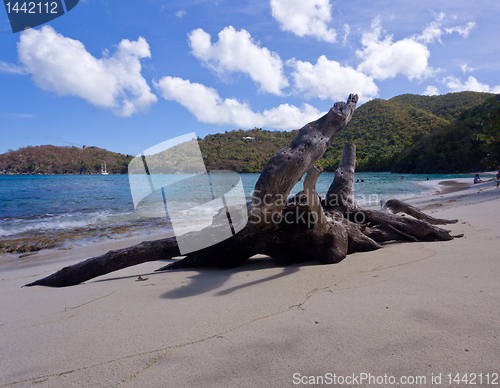 Image of Hawksnest Bay on St John