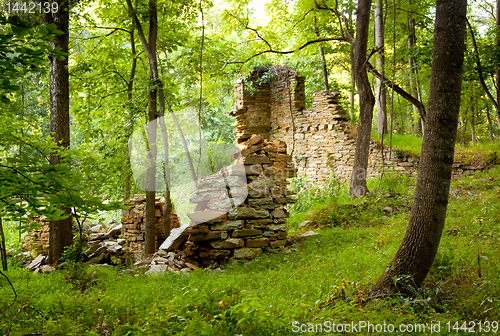 Image of Old ruined mill in forest