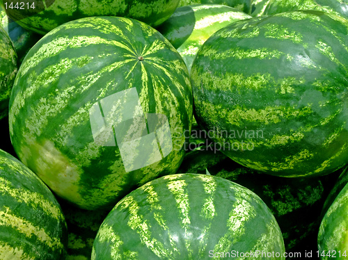 Image of Watermelons