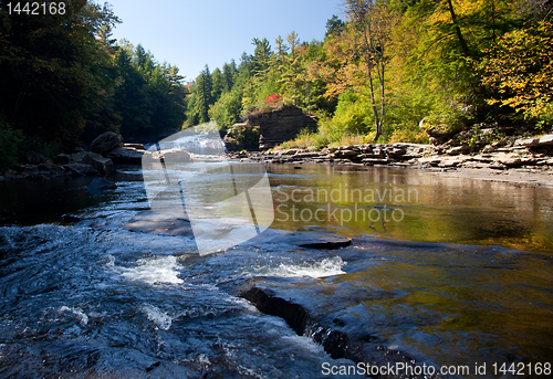 Image of Swallow Falls Maryland