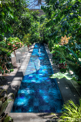 Image of HDR image of pool in greenhouse