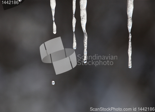 Image of Droplet and icicles