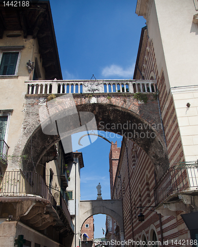 Image of Whale bone in Verona