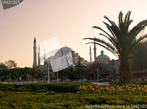 Image of  Blue Mosque 4