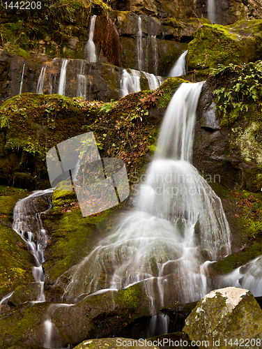 Image of Place of a Thousand Drips in Smokies