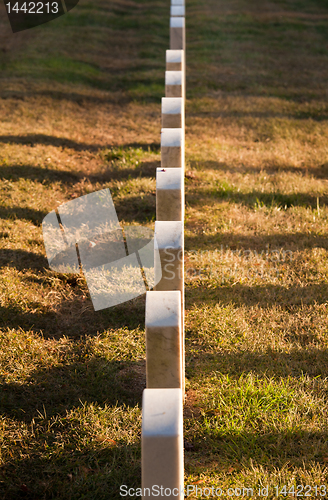 Image of Row of grave stones in Arlington