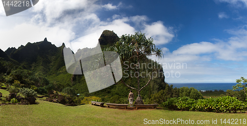 Image of Panorama of the Na Pali Coast