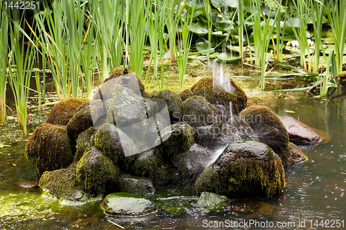 Image of Fountain landing on mossy rocks