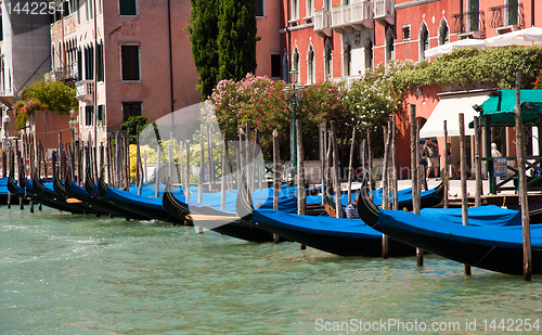 Image of Gondolas in Venice