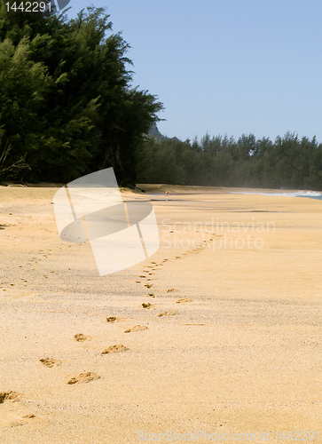 Image of Footsteps receding into the distance 