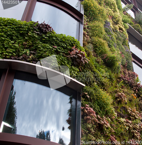 Image of Garden growing on side of building