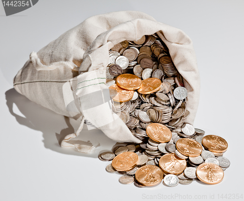 Image of Bag of silver and gold coins