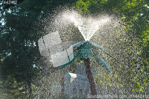 Image of Water fountain tree