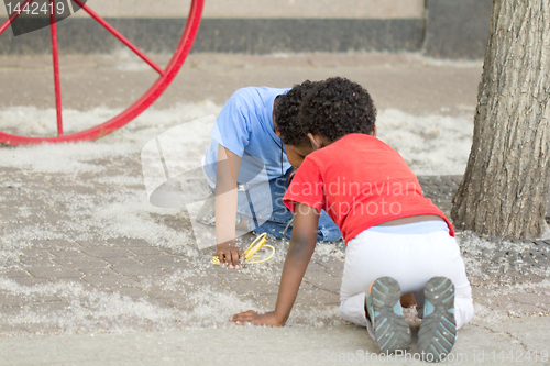 Image of Two young boys looking at  flower seed heads on the ground