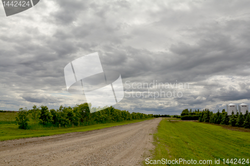 Image of Land of the living skies