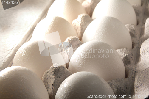 Image of Eggs in a box