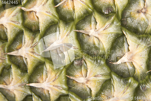 Image of Pineapple Skin