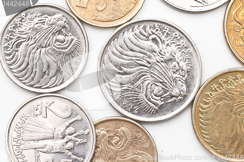 Image of Coins of Ethiopian Currency