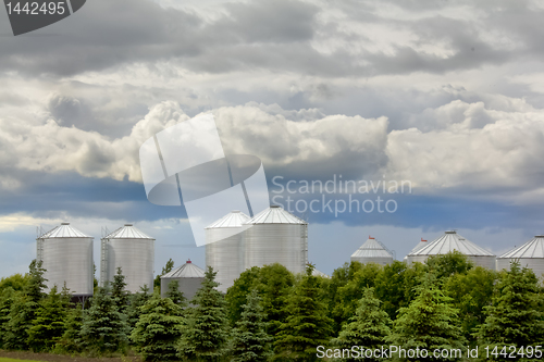 Image of Grain storage bins in rural Saskatchewan