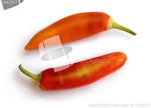 Image of Two Peppers