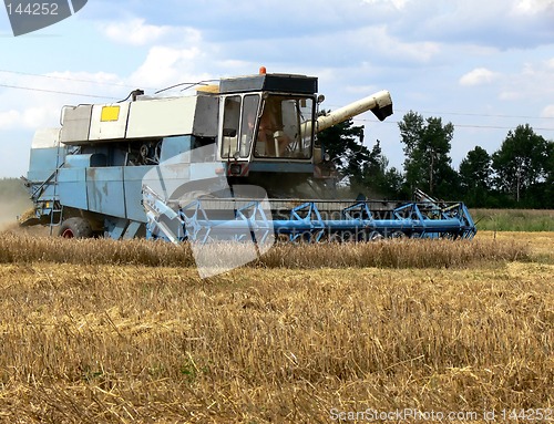 Image of Harvest time 1