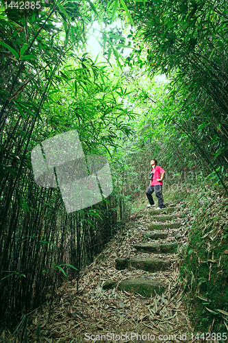 Image of photographer taking photo in bamboo path 