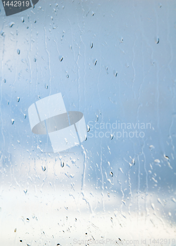 Image of Drops of a rain on glass