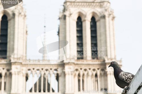 Image of Notre Dame de Paris