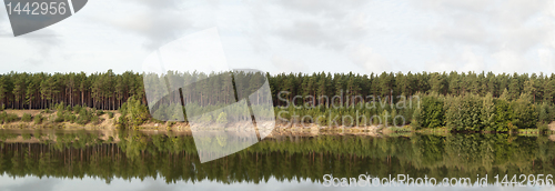 Image of Wood on coast of lake. Reflection in water