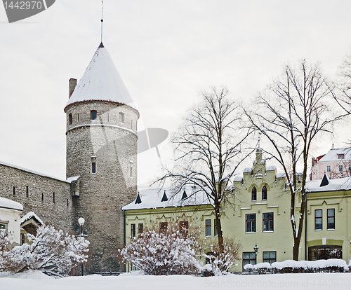 Image of View of an old city in Tallinn. Estonia