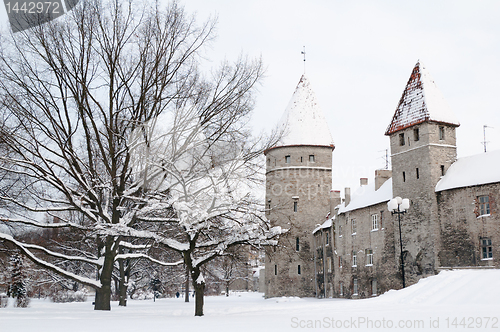 Image of View of an old city in Tallinn. Estonia