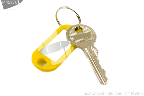 Image of Silvery key
