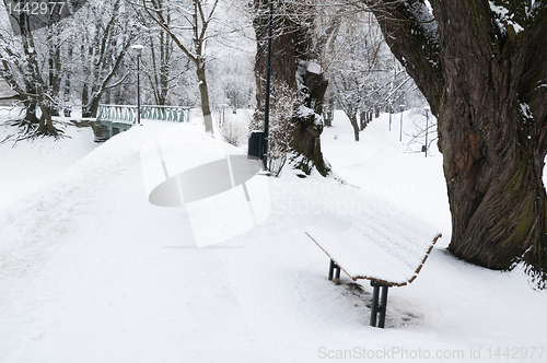 Image of snow-covered bench in Winter Park