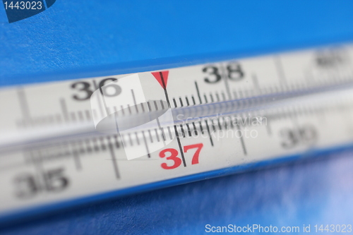 Image of Thermometer