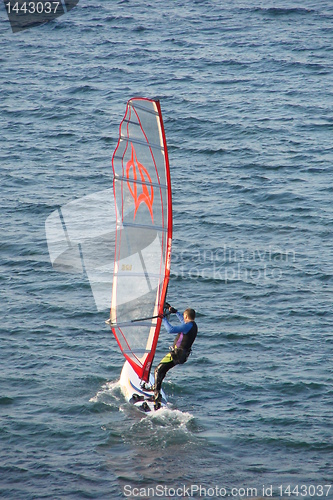 Image of Fast moving windsurfer